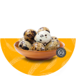 Buy Quail Eggs Online | Quail Eggs Providers in Singapore