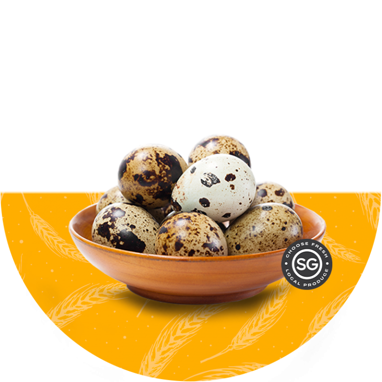 Buy Quail Eggs Online Quail Eggs Providers in Singapore
