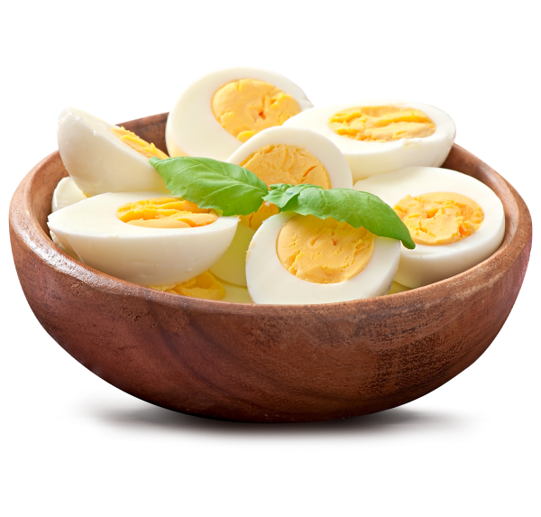1200x1147px_Dasoon-About-Egg-Img 1200x1147px_Dasoon-About-Egg-Img